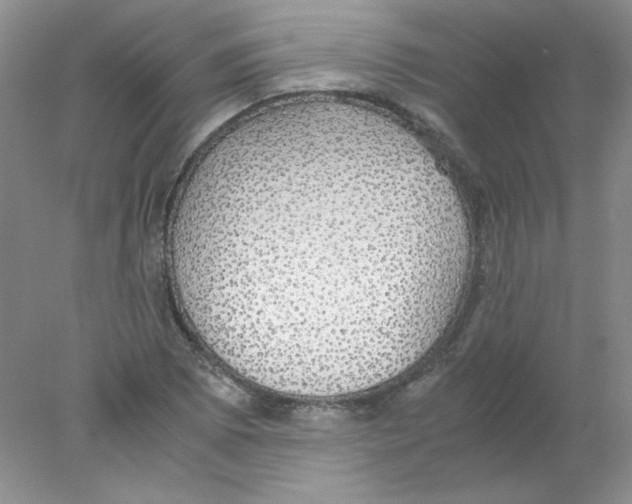 X0000078021073200611251524