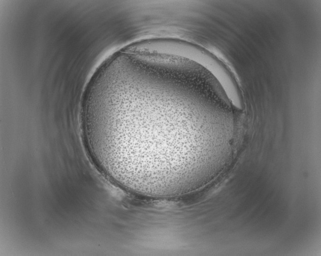 X0000078021085200611251523