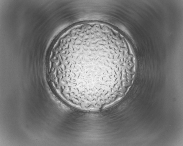 X0000078021088200611251523