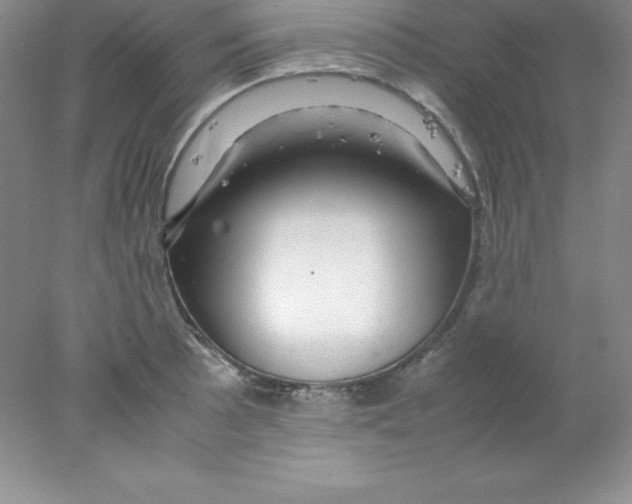 X0000078021089200611251523
