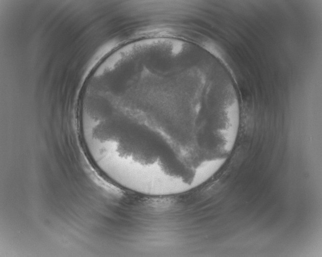 X0000078021090200611251523