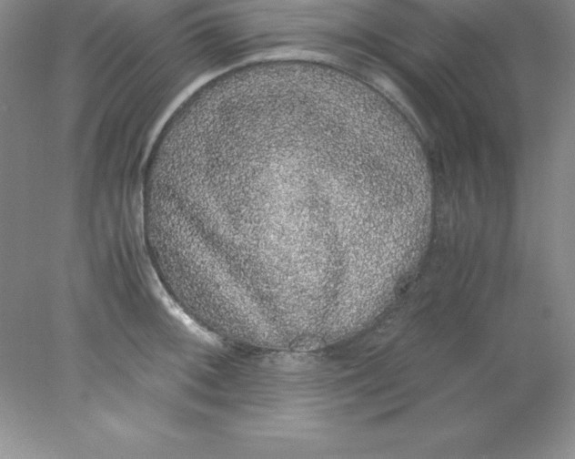 X0000078021092200611251523