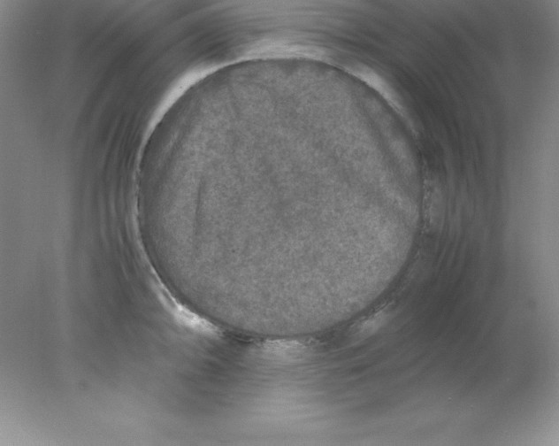 X0000078021094200611251523