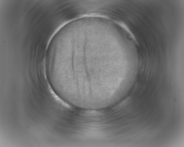X0000078021100200611251523