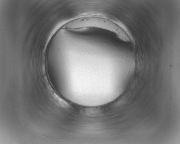 X0000078021102200611251523