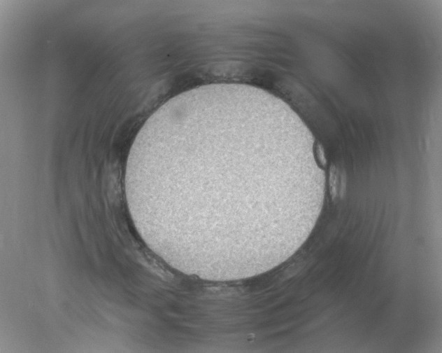 X0000078021107200611251522