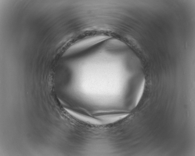 X0000078021110200611251522