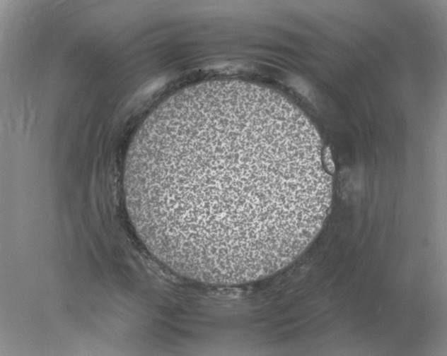 X0000078021111200611251522