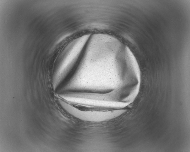 X0000078021112200611251522