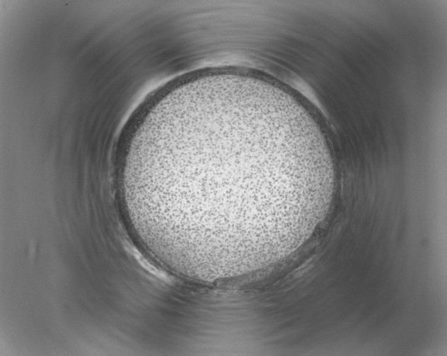 X0000078021116200611251522