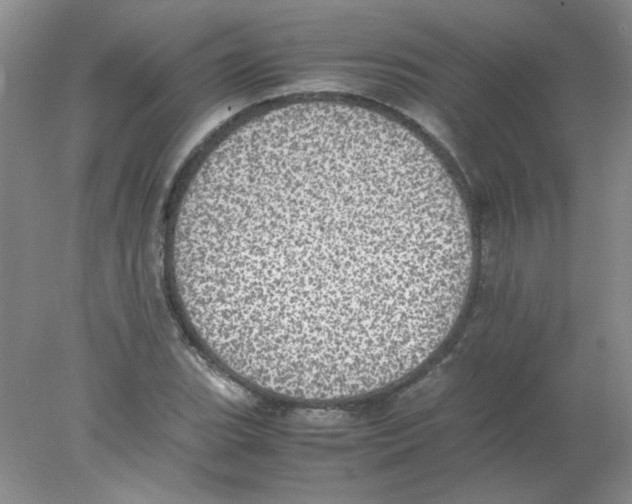 X0000078021119200611251522
