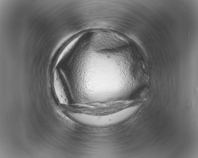 X0000078021120200611251522