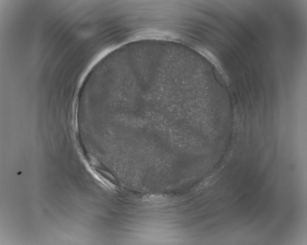 X0000078021128200611251523