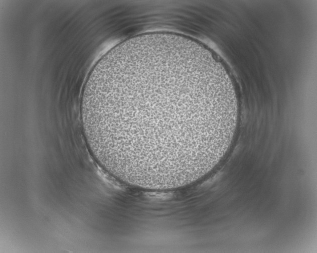 X0000078021145200611251523