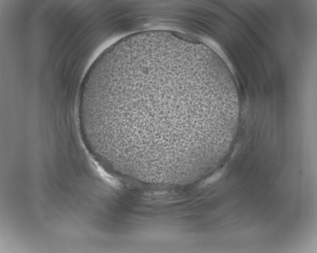 X0000078021149200611251523
