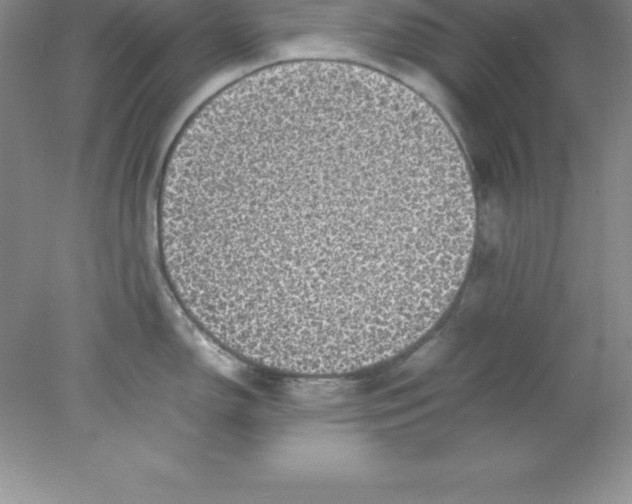 X0000078021150200611251523