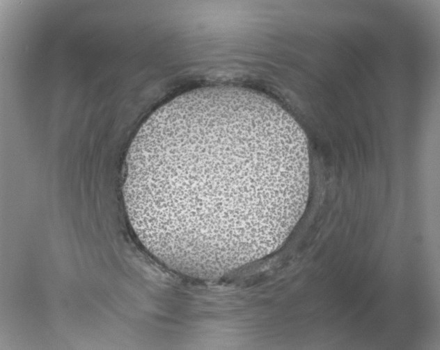 X0000078021153200611251522