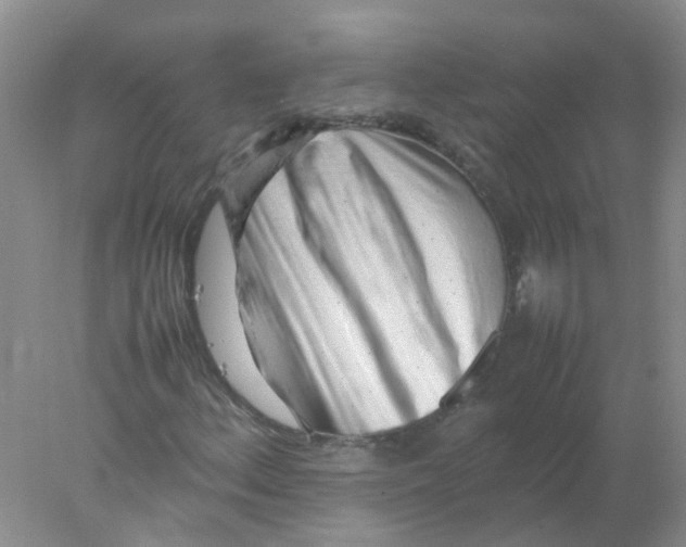 X0000078021156200611251522