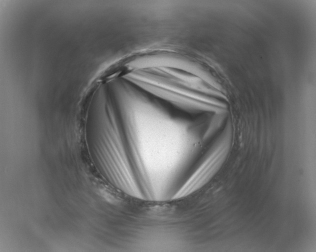 X0000078021160200611251522