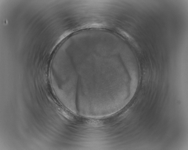 X0000078021170200611251522