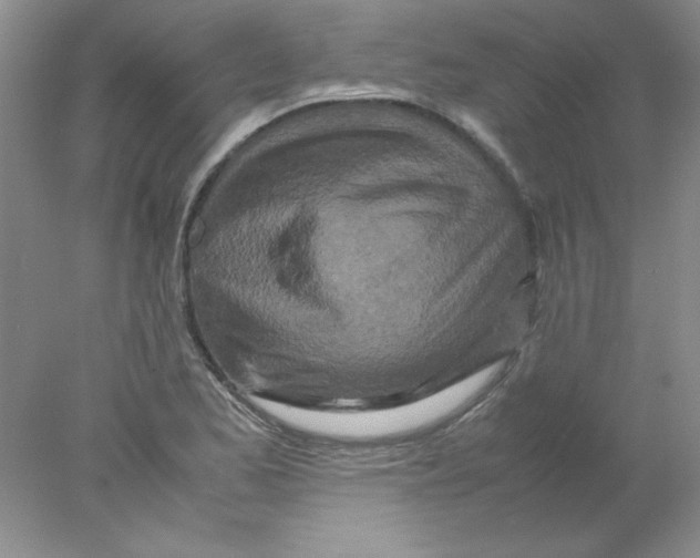 X0000078021173200611251522