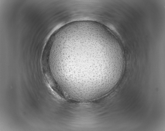 X0000078021181200611251522