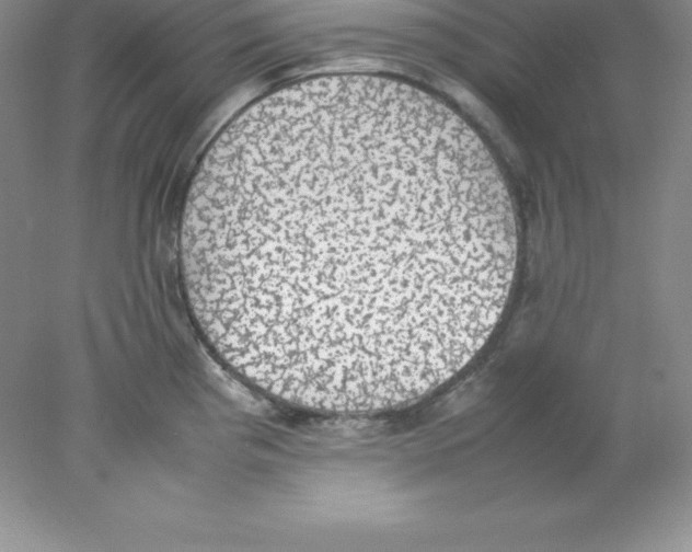 X0000078021193200611251522