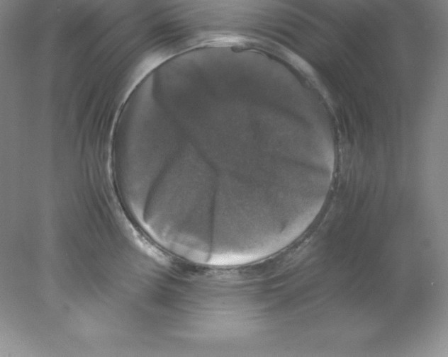 X0000078021194200611251521