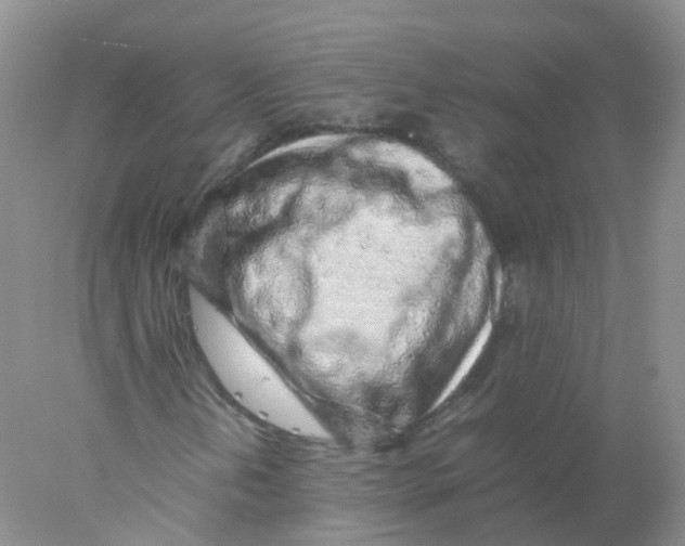 X0000078021202200611251521