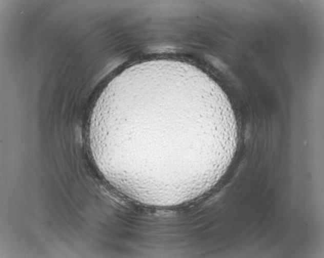 X0000078021209200611251521
