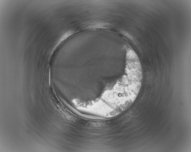 X0000078021219200611251521