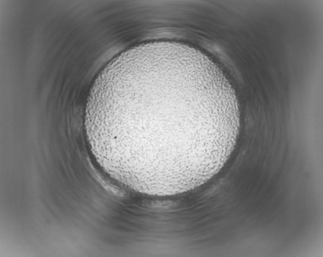 X0000078021233200611251521