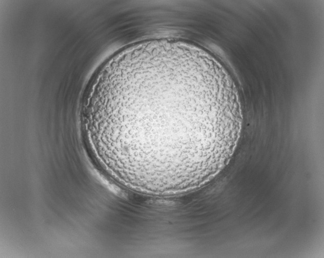 X0000078021235200611251521