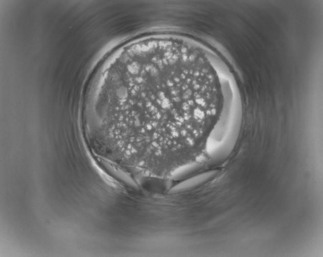 X0000078021245200611251521