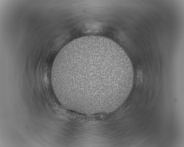 X0000078021250200611251521