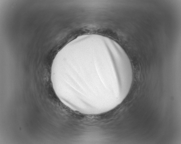 X0000078021253200611251520