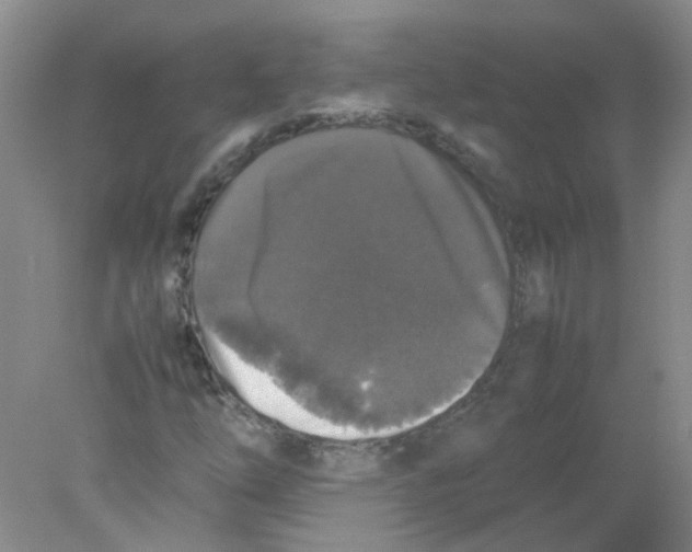 X0000078021254200611251520