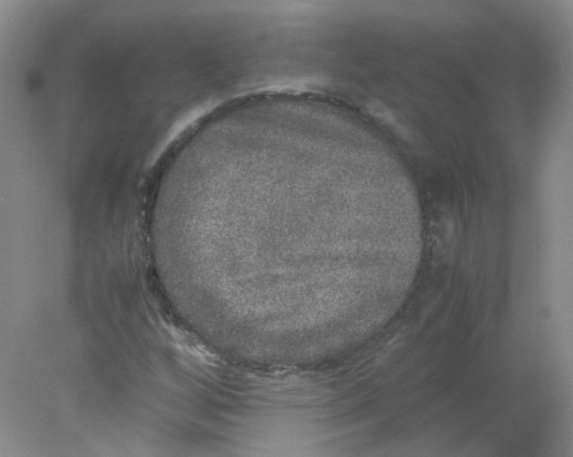 X0000078021256200611251520