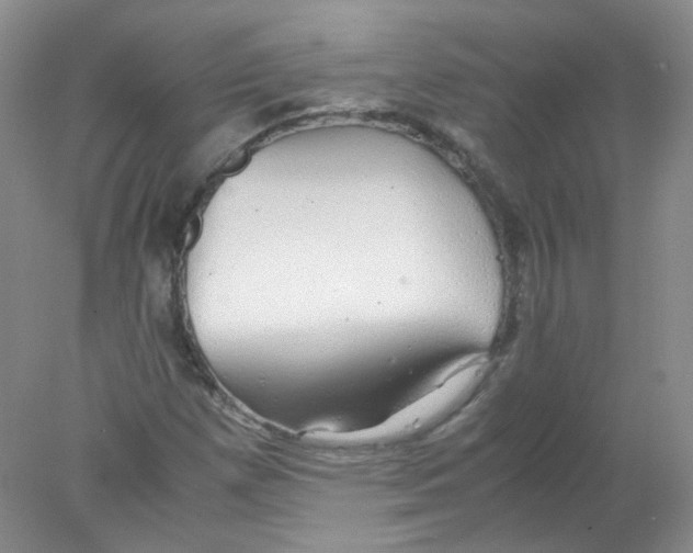 X0000078021257200611251520