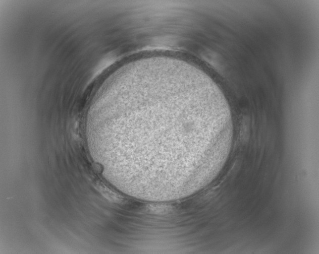 X0000078021258200611251520