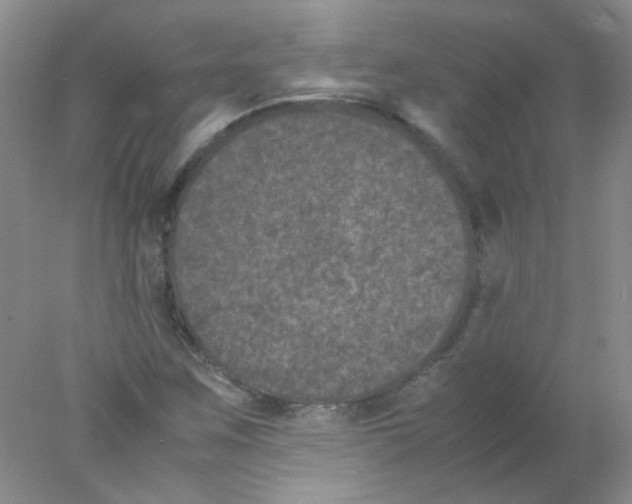 X0000078021259200611251520