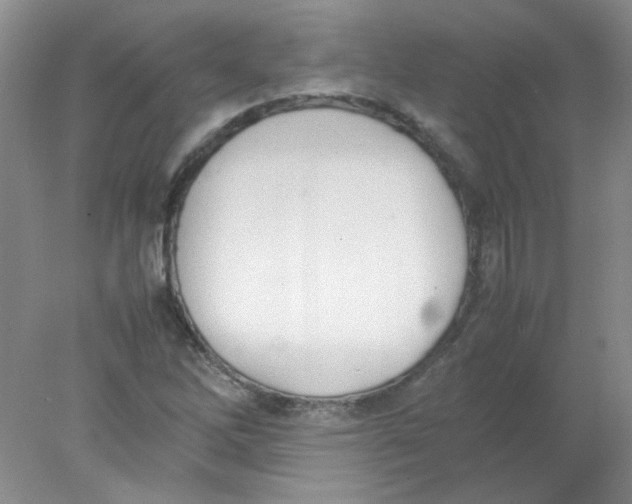 X0000078021262200611251520