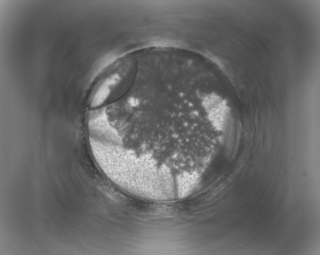 X0000078021263200611251520