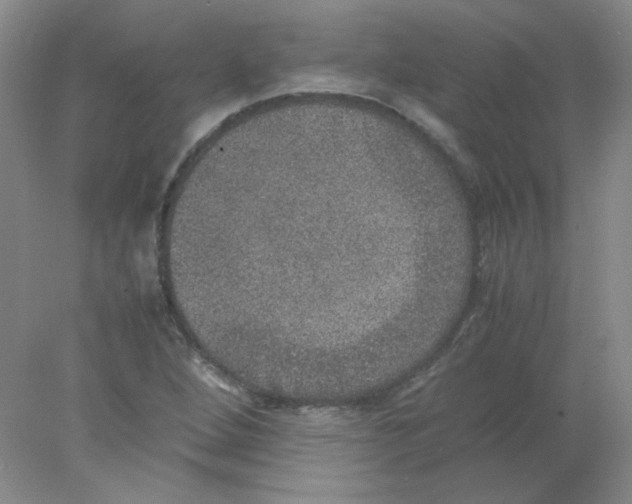 X0000078021264200611251520