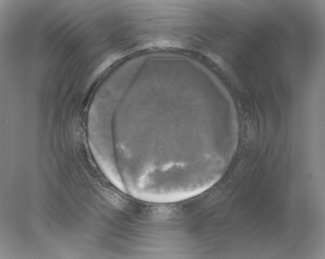 X0000078021266200611251520