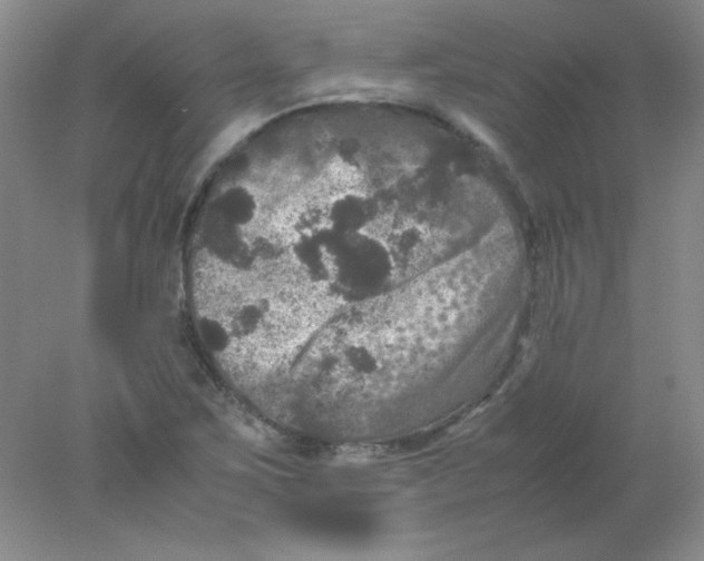 X0000078021267200611251520