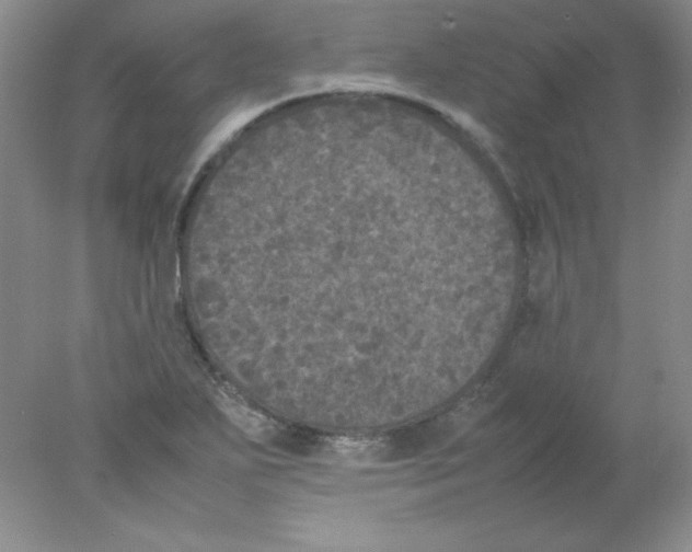 X0000078021271200611251520