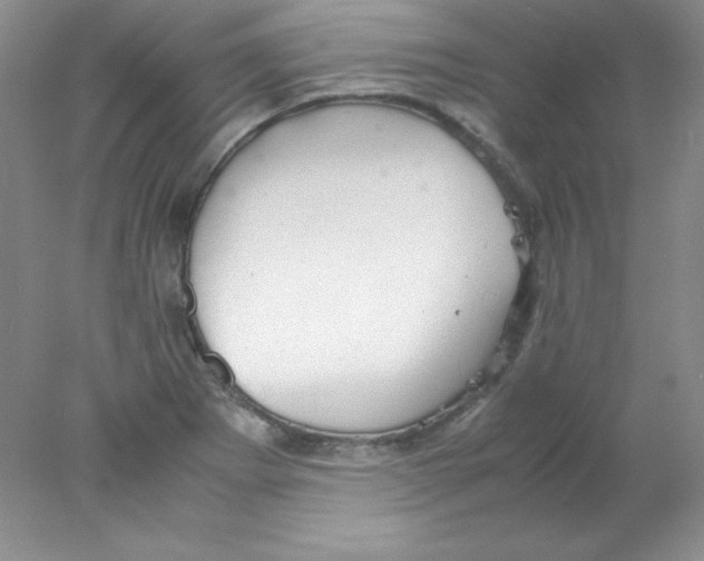 X0000078021273200611251520