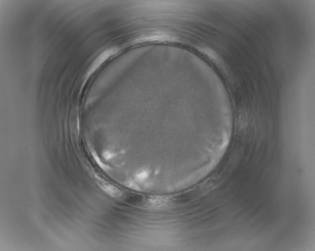 X0000078021274200611251520