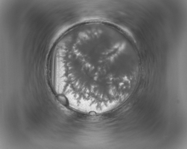 X0000078021279200611251520